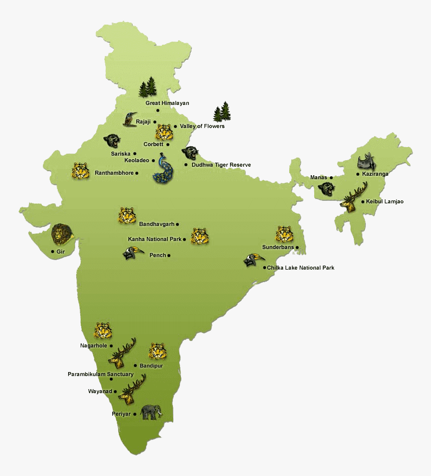 भारत के प्रमुख राष्ट्रीय उद्यान – National Park in India