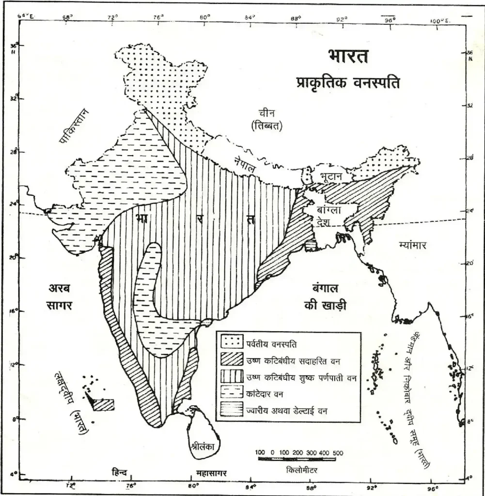 Natural Vegetation Map Of India