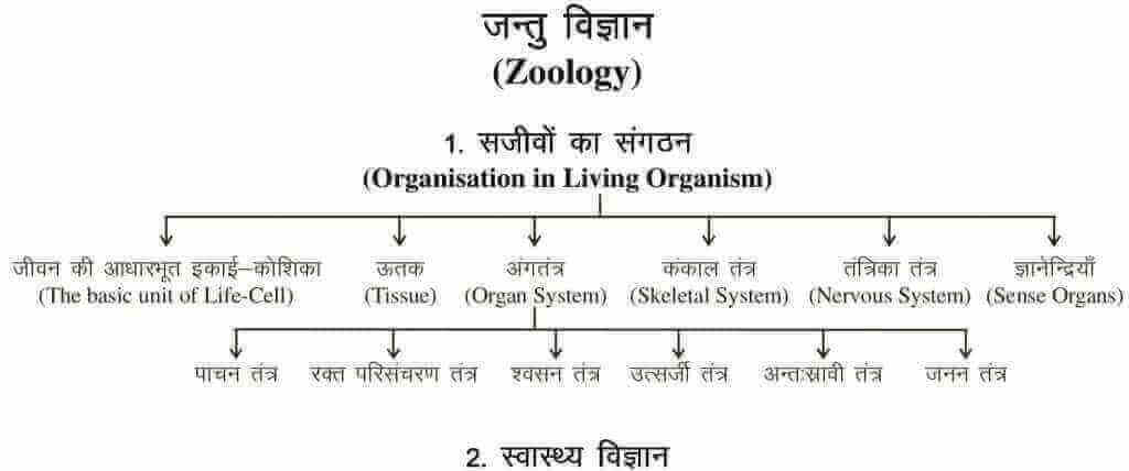 Zoology in Hindi | Zoology meaning in Hindi » जन्तु विज्ञान