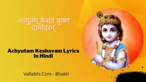 Achyutam Keshavam Lyrics In Hindi » अच्युतम् केशवं कृष्ण दामोदरम्